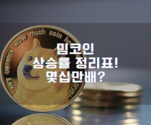 밈코인 상승률 정리표! 몇십만배 (1)