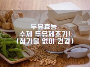 두유효능 집에서도 수제 두유제조기추천!