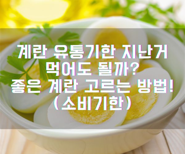 계란 유통기한 지난거 먹어도 될까? 보관 방법! (소비기한)