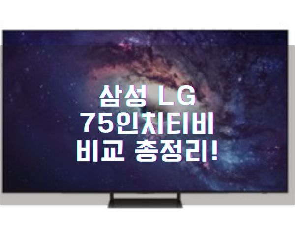 삼성 LG75인치티비 사이즈 크기 비교 총정리 KQ77SD95AFXKR OLED77B3XNA