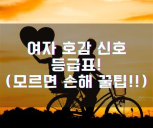 여자 호감 신호 등급표