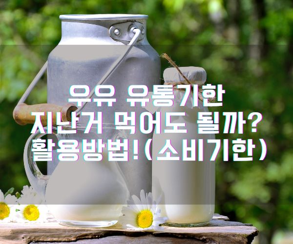 우유 유통기한 지난거 먹어도 될까? 활용방법! (소비기한)