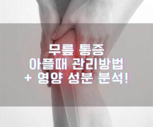 무릎 통증 아플때 관리방법 + 영양 성분 분석!