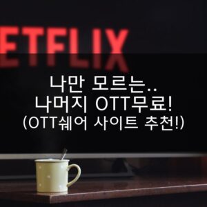 나만 모르는.. 나머지 OTT무료! (OTT쉐어 사이트 추천!) (2)