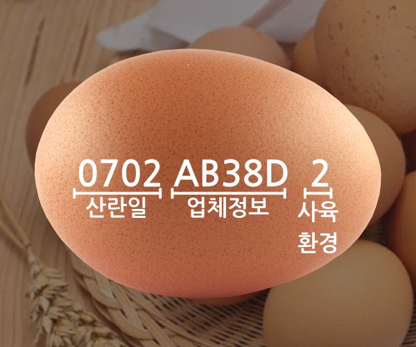 달걀 계란 난각 번호 중요한 이유와 확인 방법!