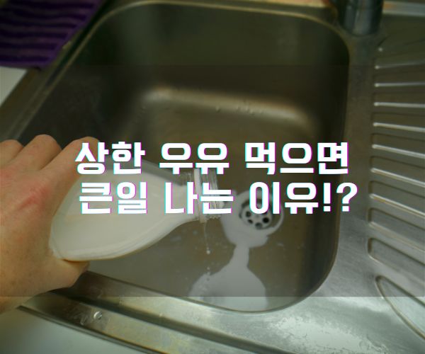 상한 우유 먹으면 큰일 나는 이유