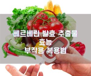 베르베린 발효 추출물 효능 부작용 복용법