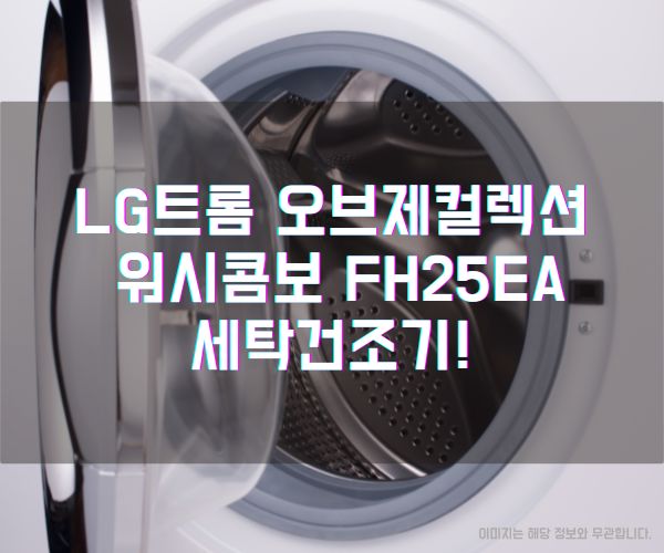 LG전자 트롬 오브제컬렉션 워시콤보 FH25EA 세탁건조기!