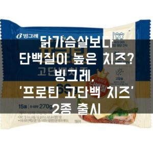 닭가슴살보다 단백질이 높은 치즈 빙그레, '프로틴 고단백 치즈' 2종 출시