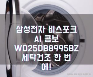 삼성전자 비스포크 AI 콤보 WD25DB8995BZ 세탁건조 한 번에!