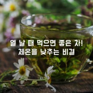 열 날 때 먹으면 좋은 차