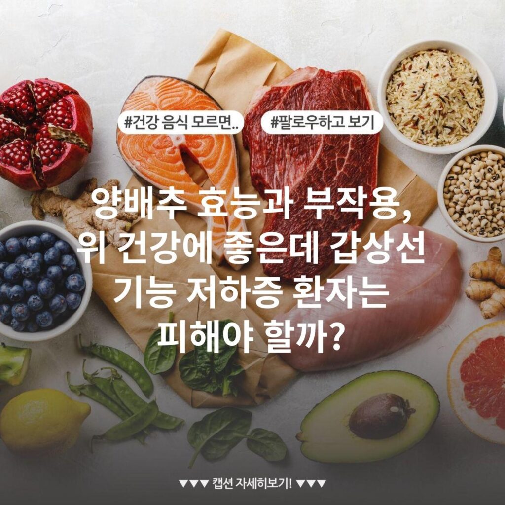 양배추 효능과 부작용, 위 건강에 좋은데 갑상선 기능 저하증 환자는 피해야 할까?