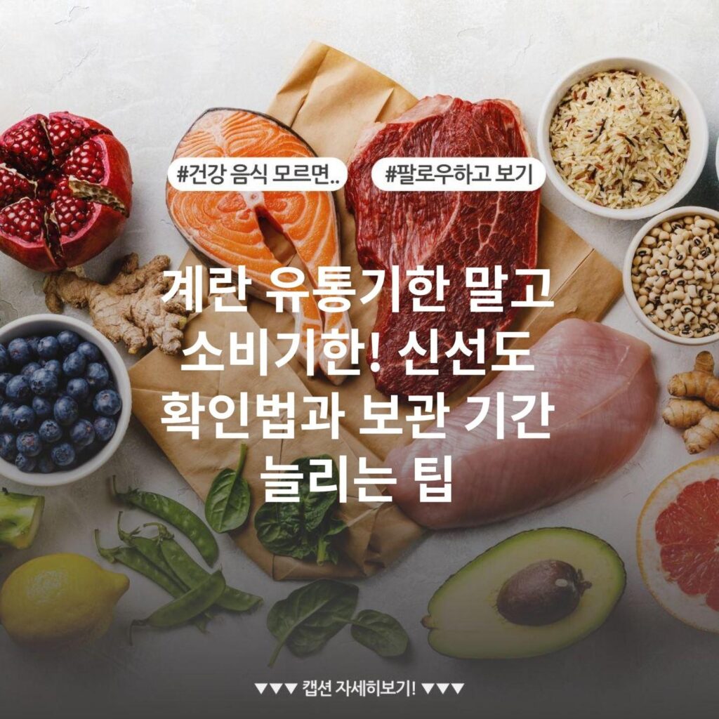계란 유통기한 말고 소비기한! 신선도 확인법과 보관 기간 늘리는 팁