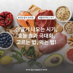 산딸기 나오는 시기, 효능 효과 극대화, 고르는 법, 먹는 법!