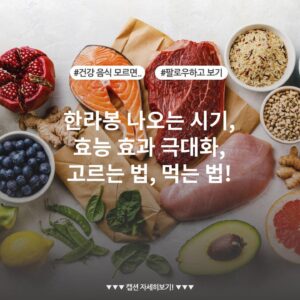 한라봉 나오는 시기, 효능 효과 극대화, 고르는 법, 먹는 법!